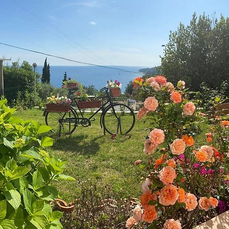 Villa Pergola -Apartment Roko Млини Екстер'єр фото