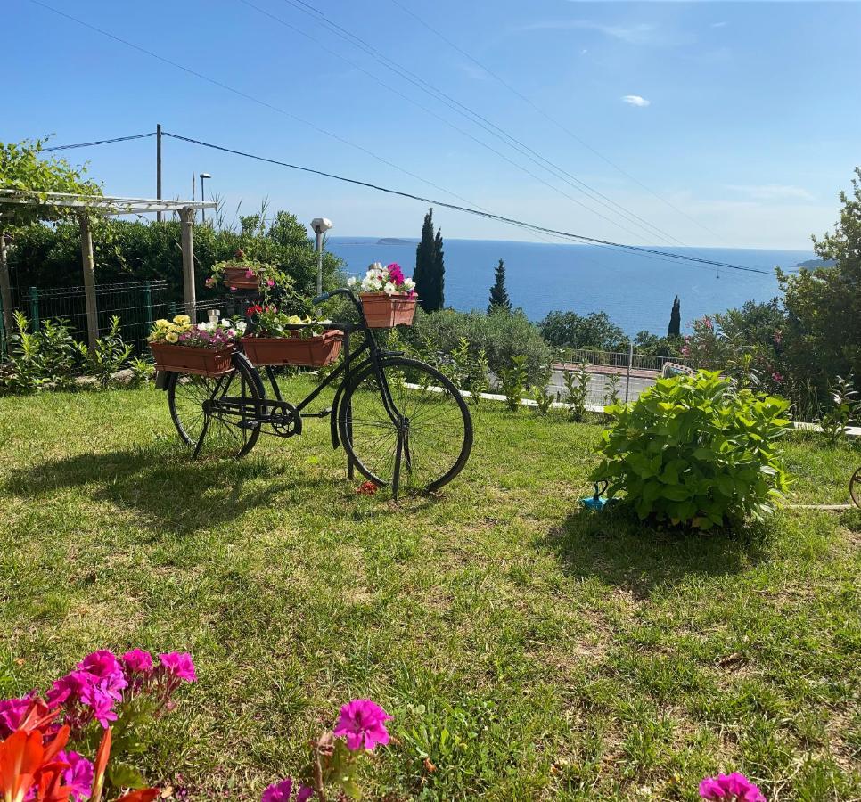 Villa Pergola -Apartment Roko Млини Екстер'єр фото